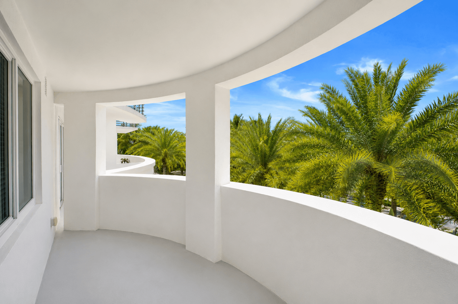 A white room with a window overlooking a palm tree.